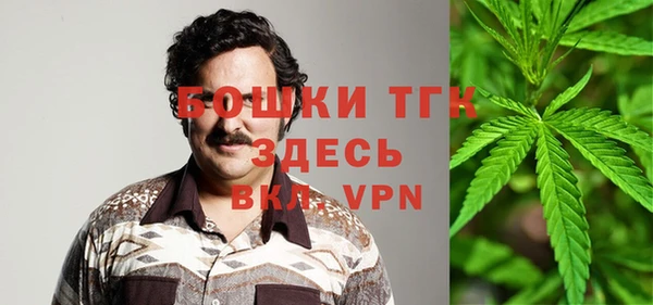 гидра Майский
