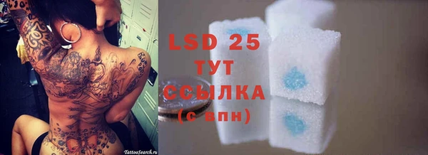 гидра Майский
