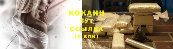 крисы Магадан