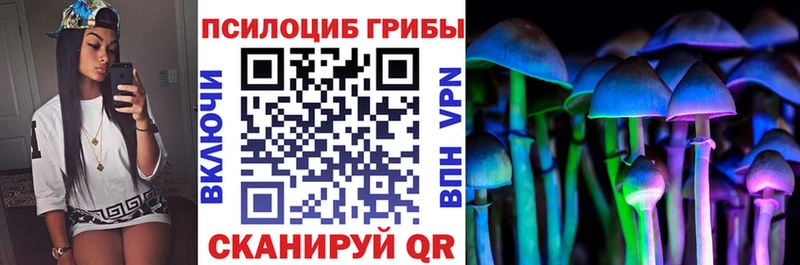 Купить закладки  Зеленодольск  Галлюциногенные грибы GOLDEN TEACHER 
